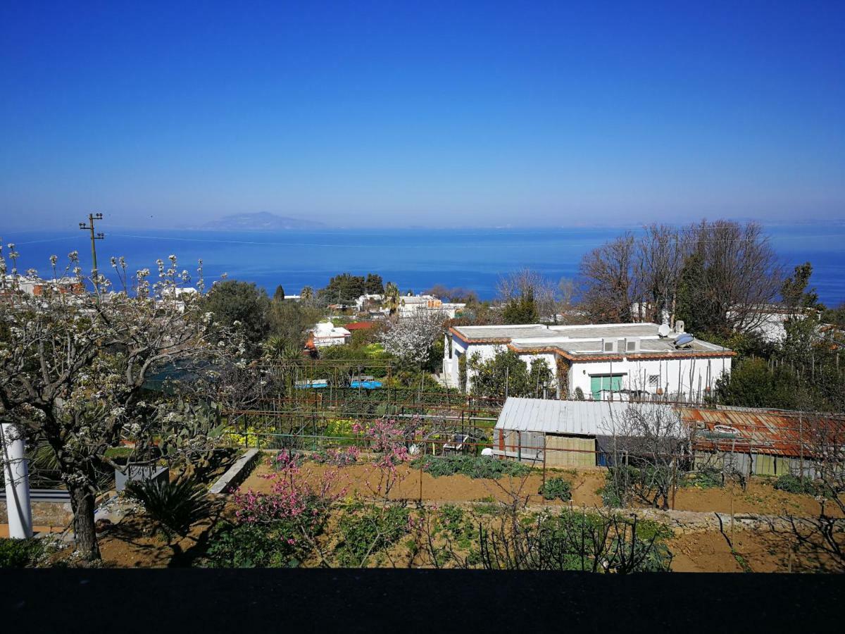 Maryhome Anacapri  Exteriér fotografie
